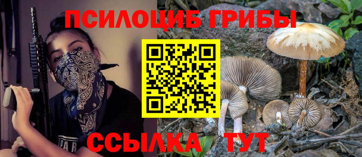 Тюмень  Галлюциногенные грибы ЛСД  Вход с VPN 