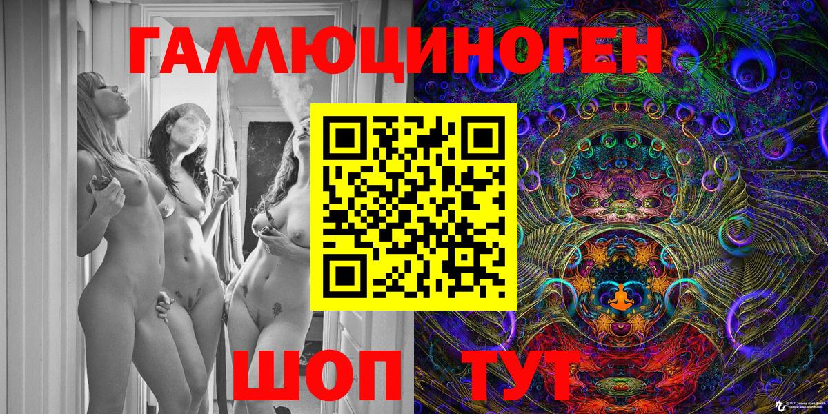 Псилоцибиновые грибы Psilocybe Тюмень